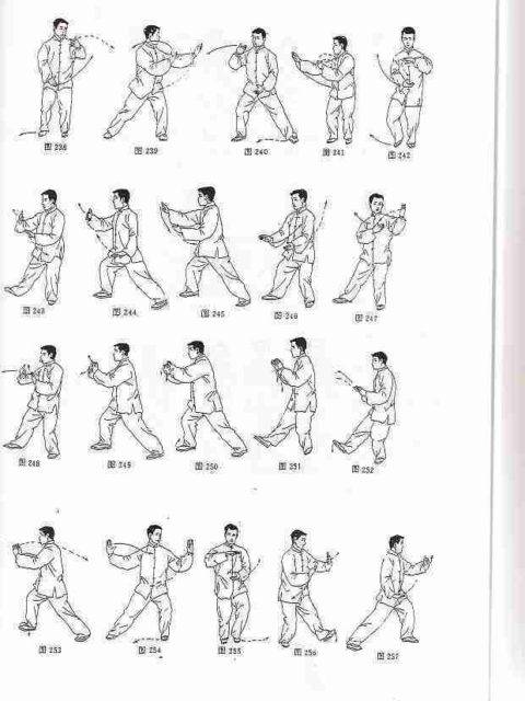 new_Tai Chi Chuan 16 Mvmt Part4